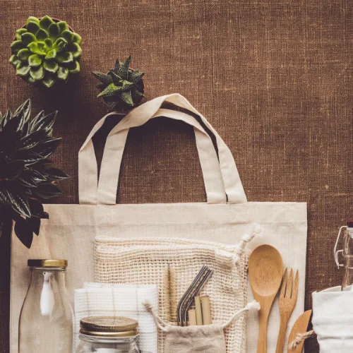 Sustainable Lifestyle